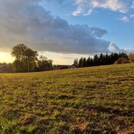 Widokowa działka 17 ar z WZ, Srogów Dolny