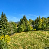 Strzebowiska działka 10ar - Bieszczady, Cisna. 
